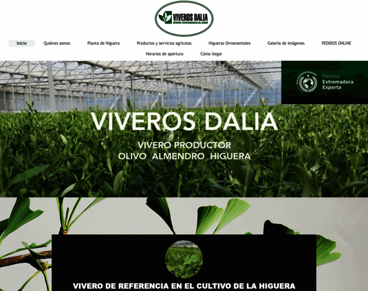 Viverosdalia.com thumbnail