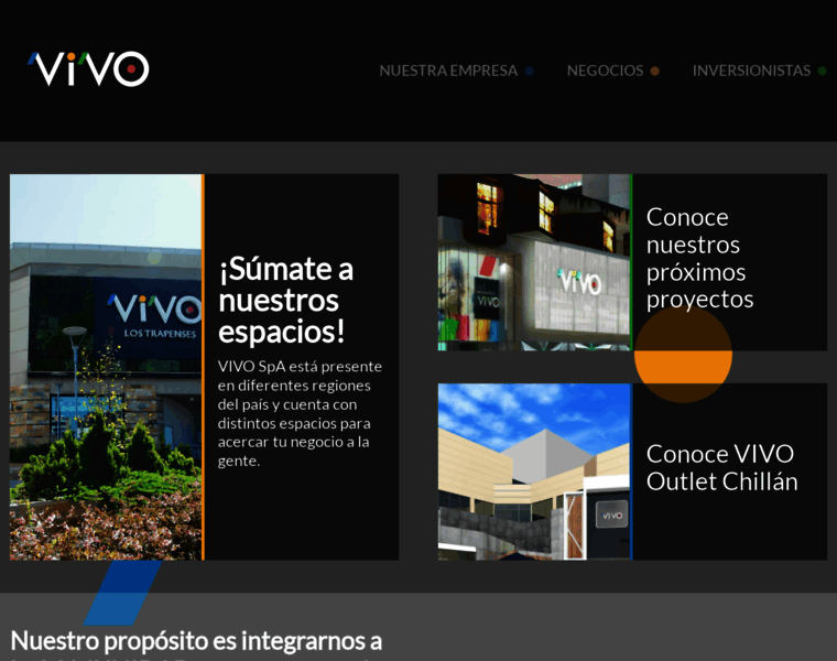 Vivocorp.cl thumbnail
