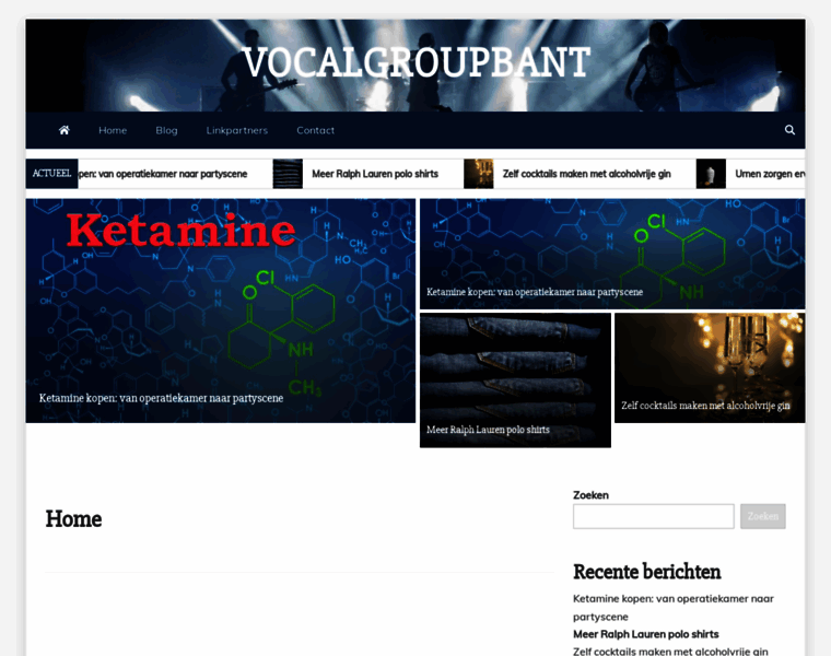 Vocalgroupbant.nl thumbnail