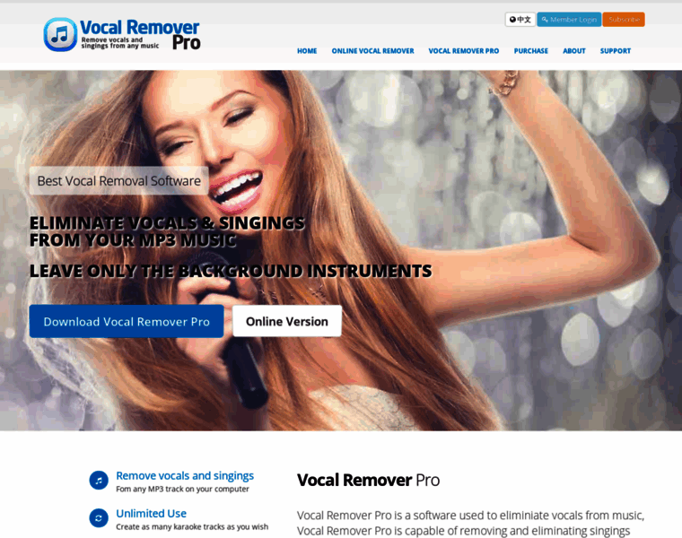 Vocalremoverpro.com thumbnail