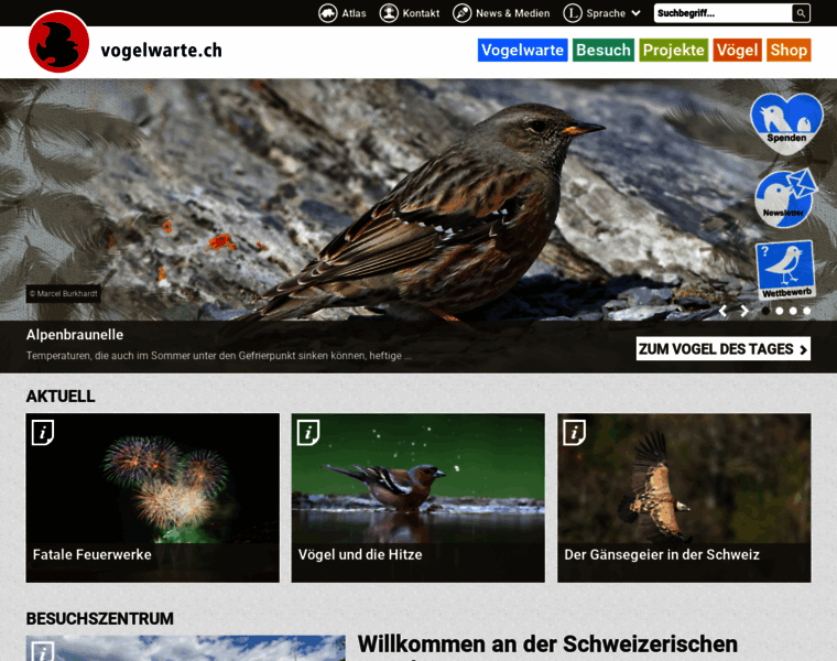 Vogelwarte.com thumbnail