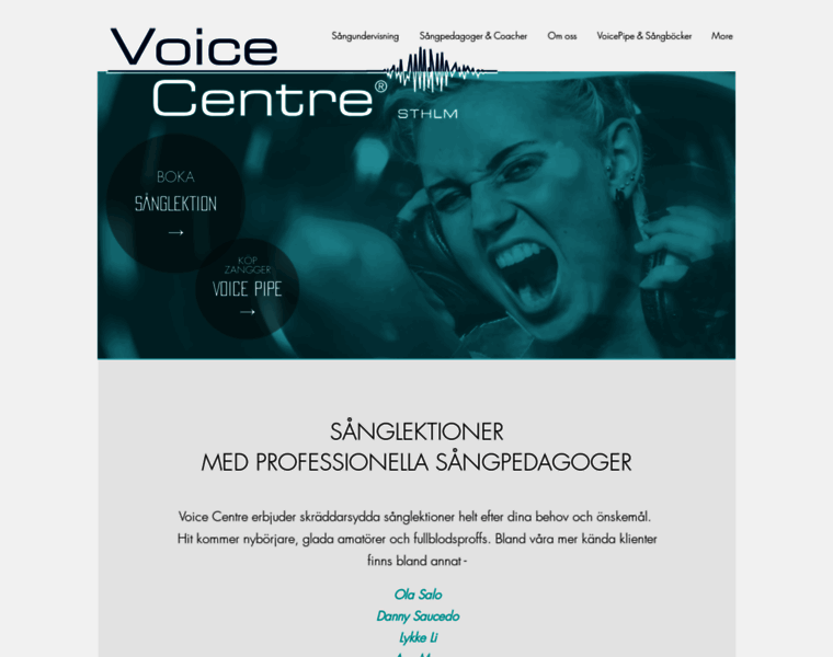 Voicecentre.se thumbnail