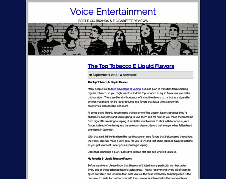 Voiceentertainment.net thumbnail
