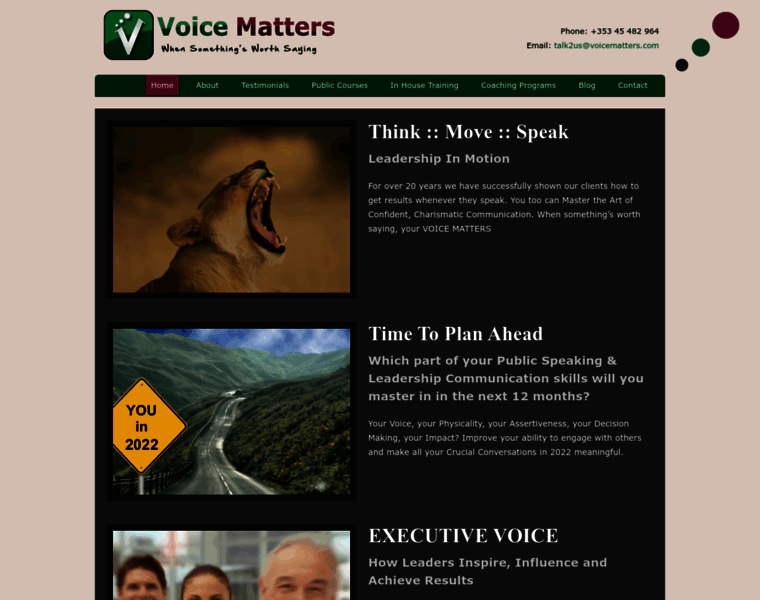 Voicematters.com thumbnail