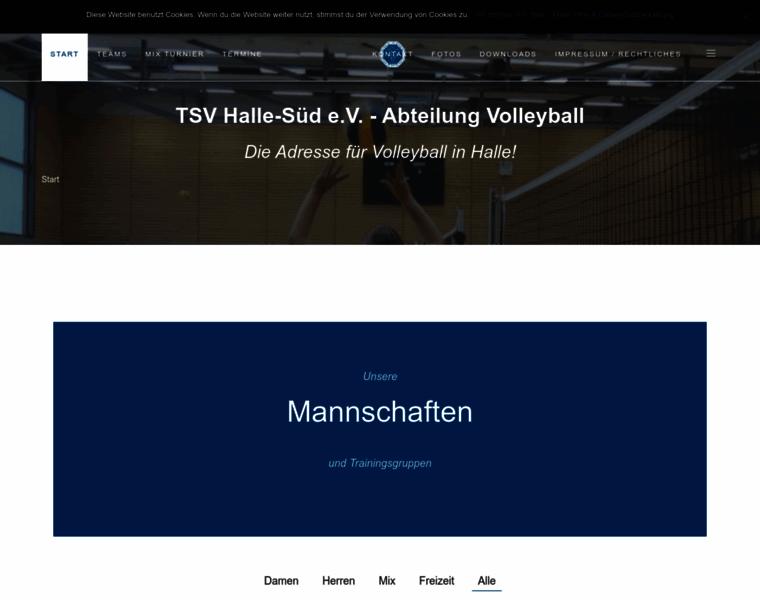 Volleyball-halle.de thumbnail