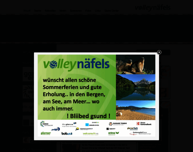Volleynaefels.ch thumbnail