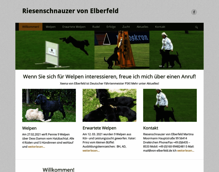 Von-elberfeld.de thumbnail