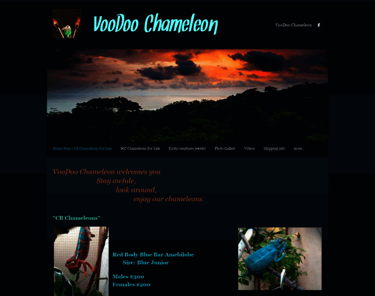 Voodoochameleon.com thumbnail