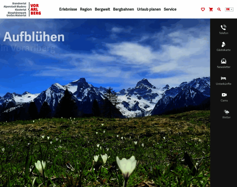 Vorarlberg-alpenregion.at thumbnail