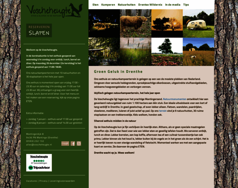 Voscheheugte.nl thumbnail
