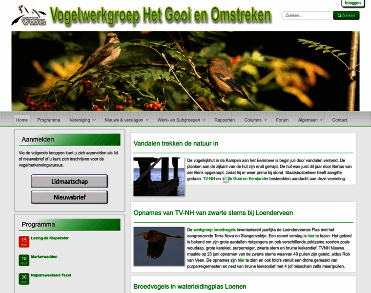 Vwggooi.nl thumbnail
