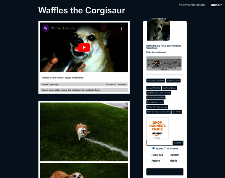 Wafflesthecorgi.com thumbnail
