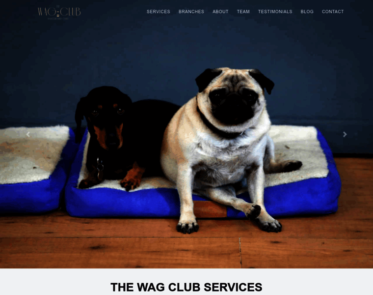 Wag-club.co.uk thumbnail