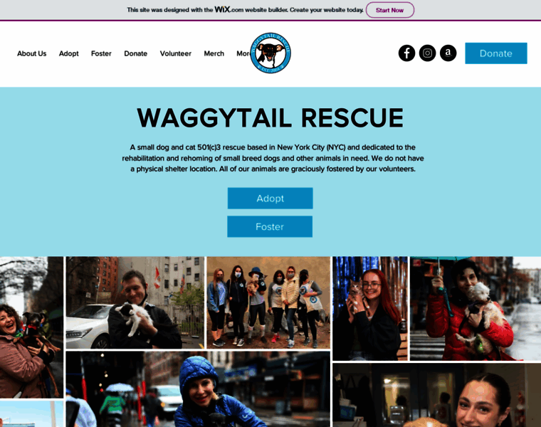 Waggytailrescue.org thumbnail