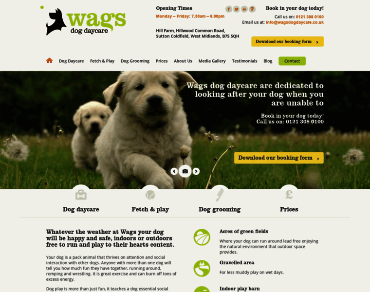 Wagsdogdaycare.co.uk thumbnail