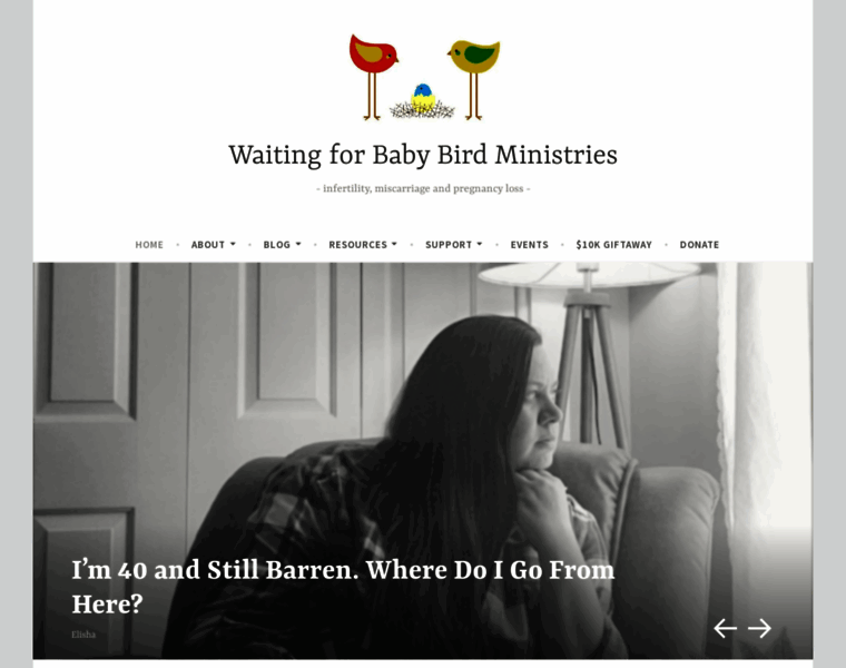 Waitingforbabybird.com thumbnail