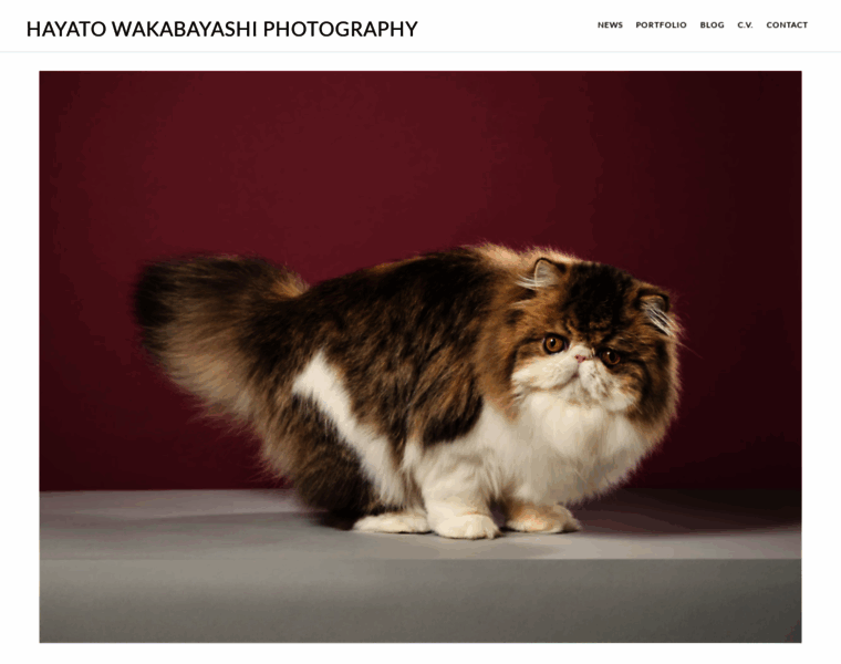 Wakabayashihayato.com thumbnail Wakabayashihayato.com thumbnail