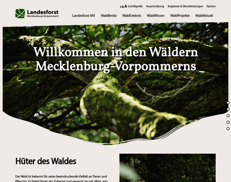 Wald-mv.de thumbnail