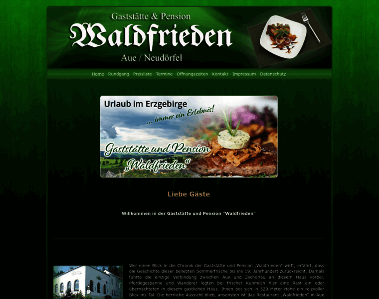 Waldfrieden-aue.de thumbnail
