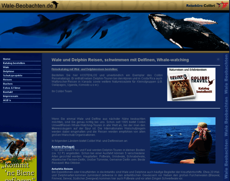 Wale-beobachten.de thumbnail