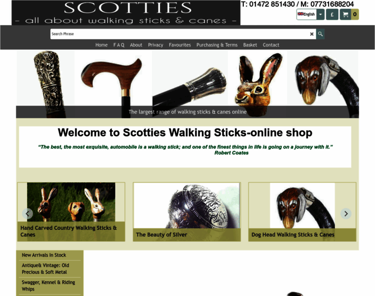 Walking-canes-sticks.co.uk thumbnail