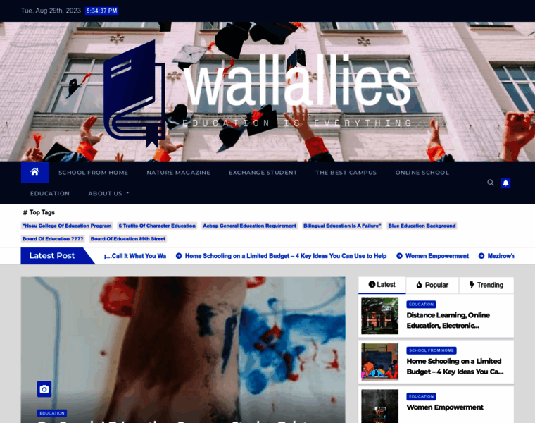 Wallallies.com thumbnail