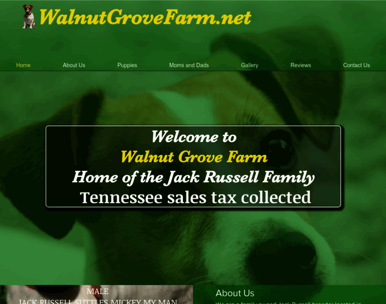Walnutgrovefarm.net thumbnail