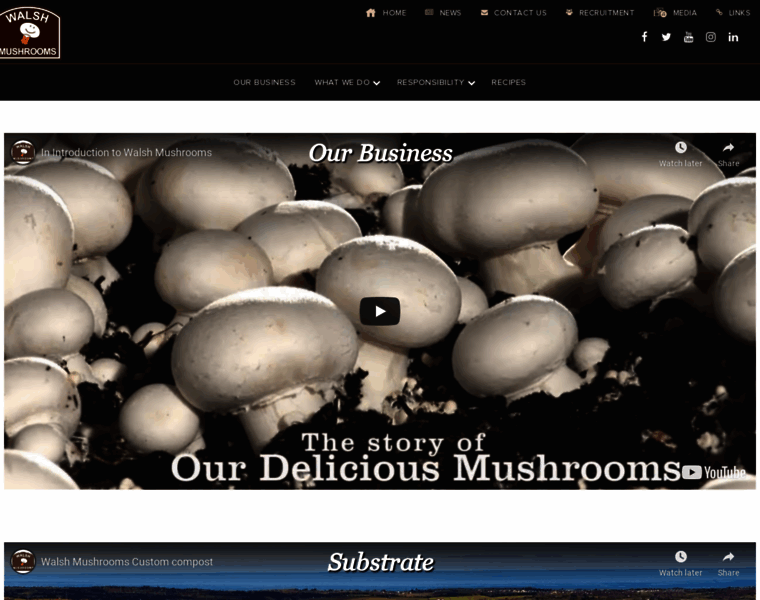 Walshmushrooms.com thumbnail