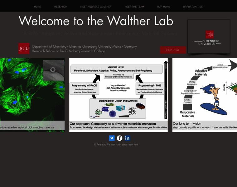 Walther-group.com thumbnail