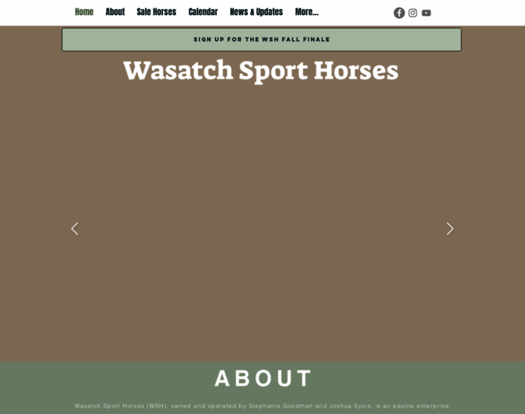 Wasatchsporthorses.com thumbnail