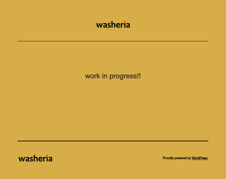 Washeria.com thumbnail