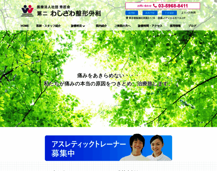 Washizawa-seikeigeka.net thumbnail
