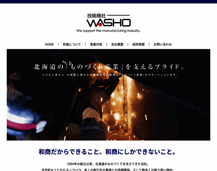 Washo.net thumbnail