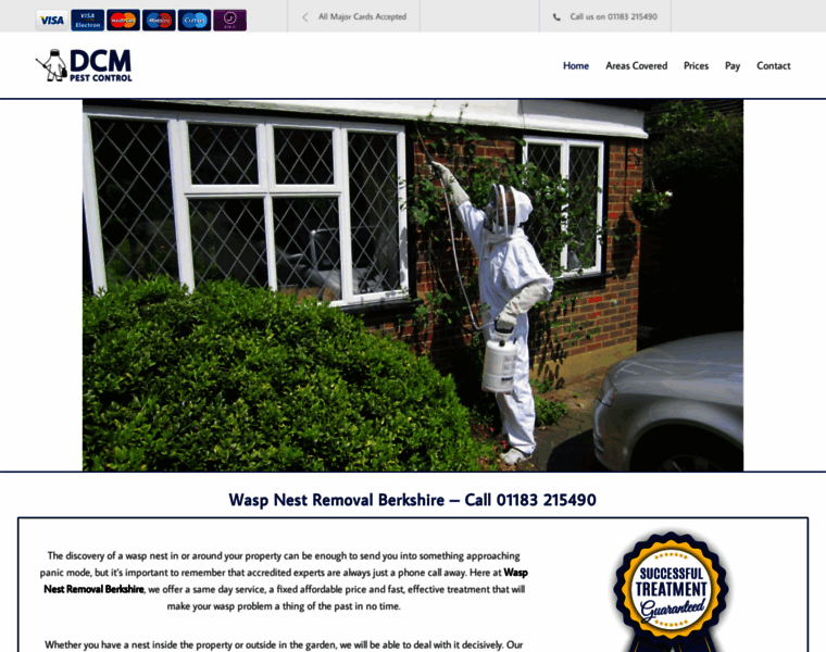 Wasp-nest-removal-berkshire.co.uk thumbnail
