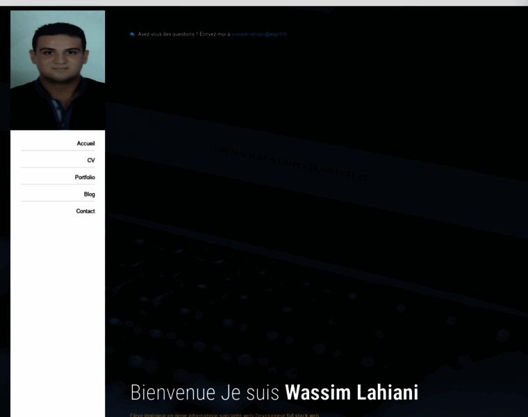 Wassim-lahiani.com thumbnail