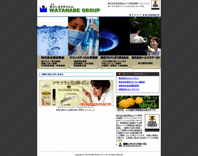 Watanabe-group.jp thumbnail