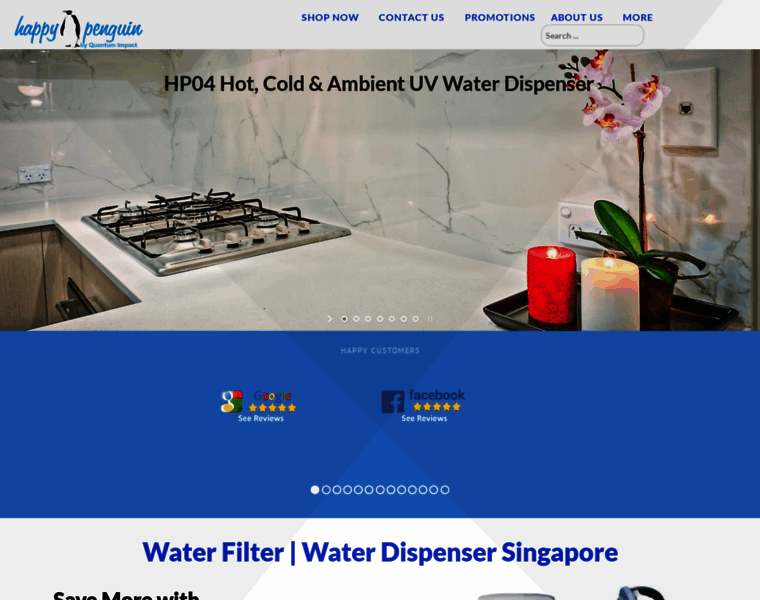 Waterfilter.com.sg thumbnail