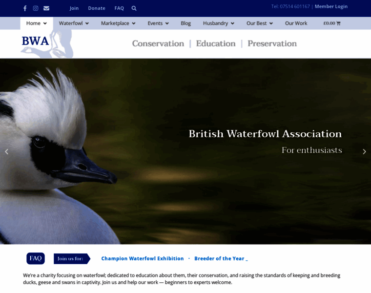 Waterfowl.org.uk thumbnail