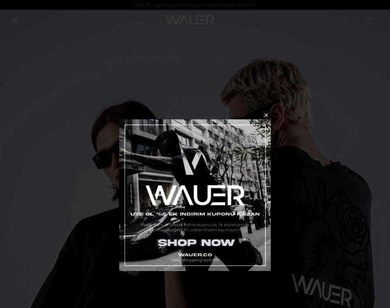 Wauer.co thumbnail