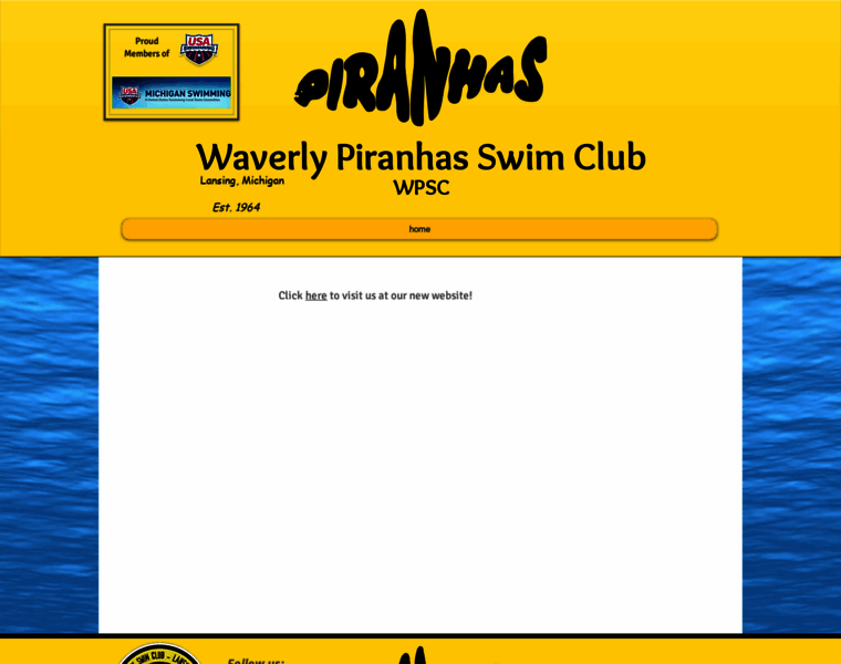 Waverlyswim.org thumbnail