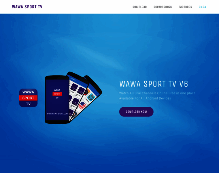 Wawa-sport.com thumbnail