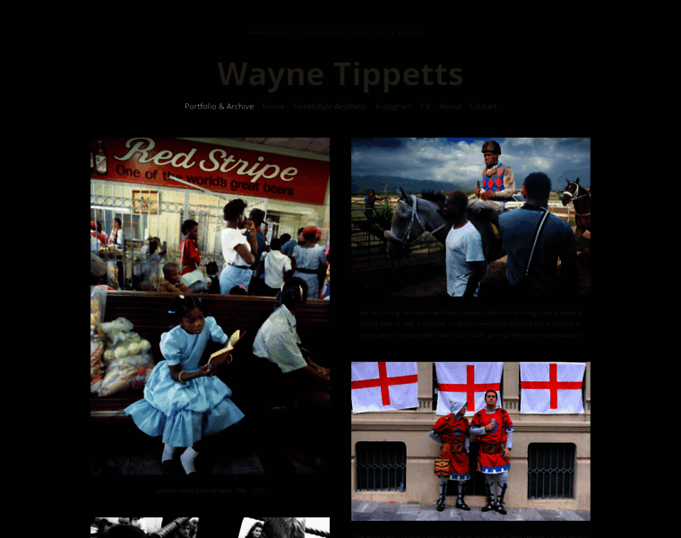 Waynetippetts.com thumbnail