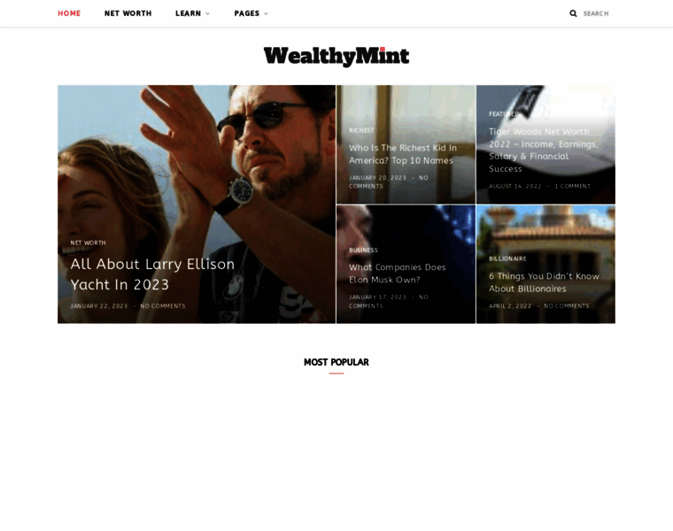 Wealthymint.com thumbnail