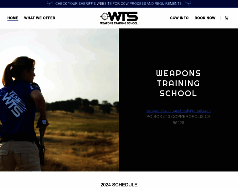 Weaponstrainingschool.com thumbnail