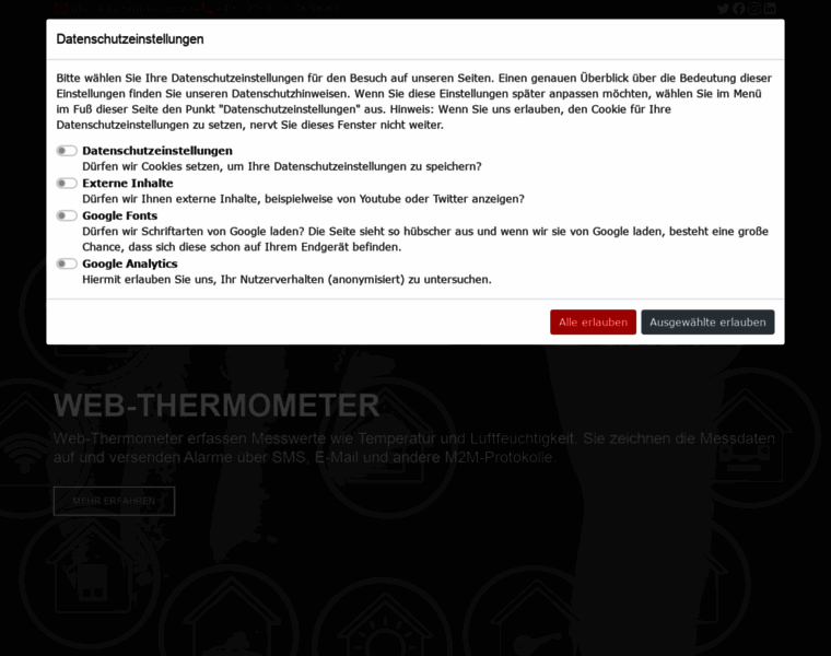Web-thermometer.de thumbnail