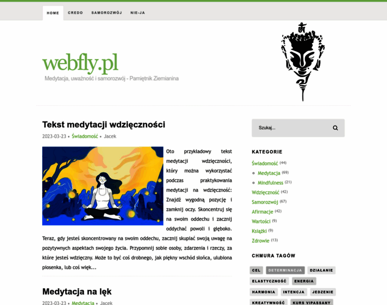 Webfly.pl thumbnail