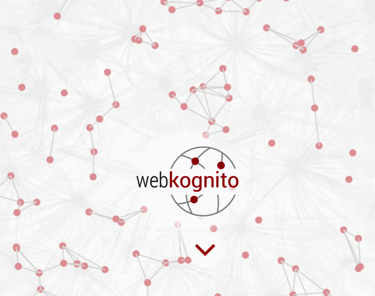 Webkognito.com thumbnail