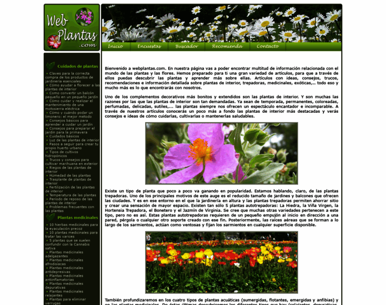 Webplantas.com thumbnail