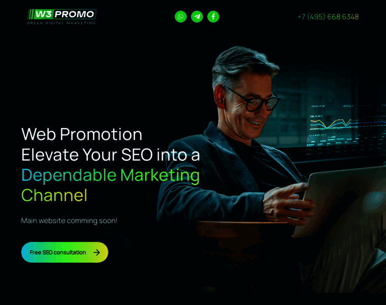 Webpromotion.pro thumbnail Webpromotion.pro thumbnail