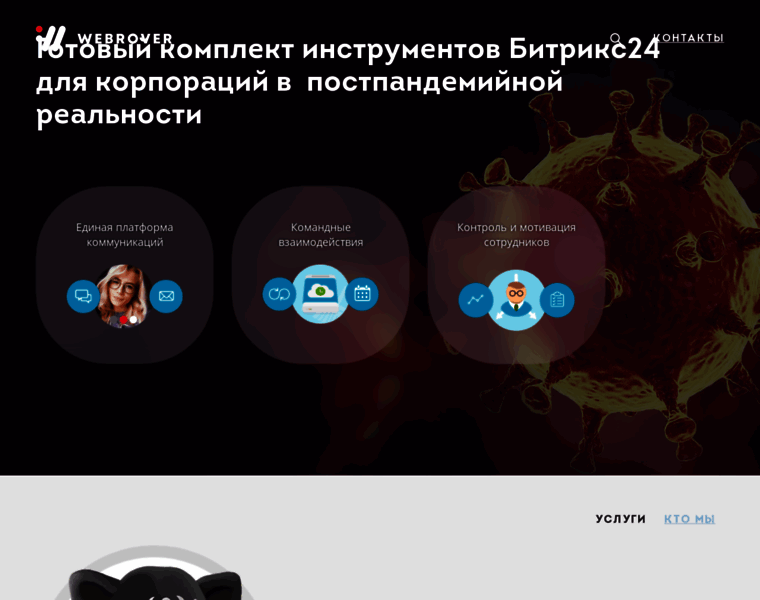 Webrover.ru thumbnail